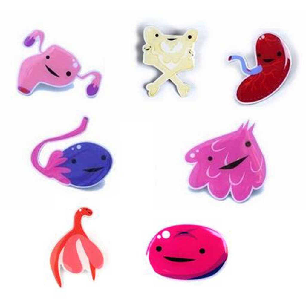 Birth and Anatomy Lapel Pins - Full set of Seven!