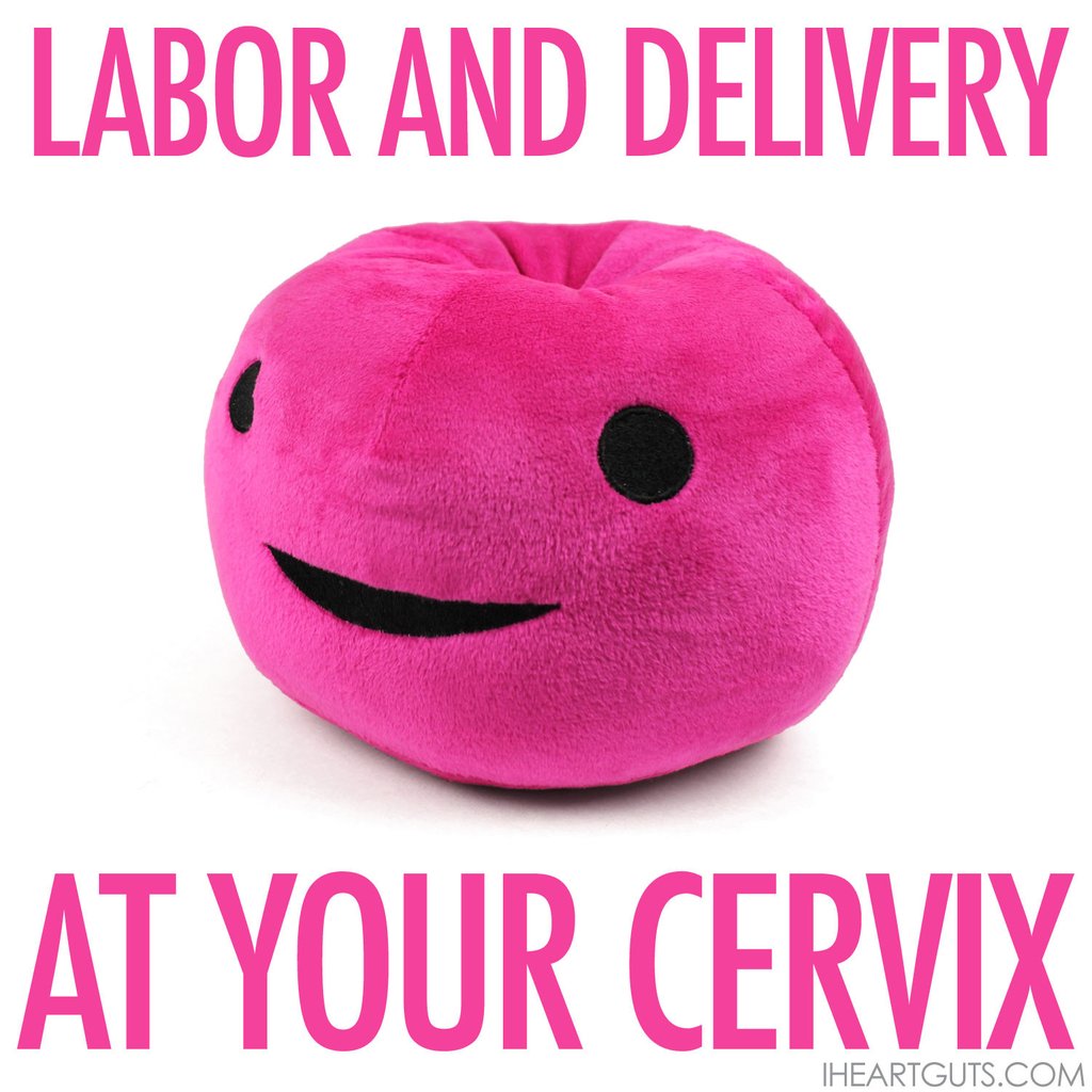 Cervix Plush